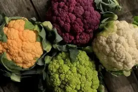 发生在生殖器部位的“皮肤病”一定是性病吗？图片