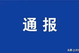 王立波等13人涉黑案一审宣判，首犯获刑25年，曾伪造武装部队证件图片
