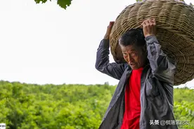 东北蚕农：一生走山路能绕地球两周，脏兮兮十指做“最干净”的事图片