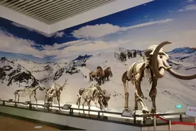 周末长春博物馆和规划馆游记图片
