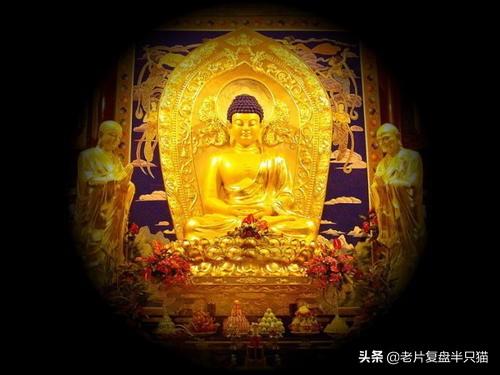 《超体》是烂片，还是神作？寡姐为什么吻警察，为什么变成U盘？