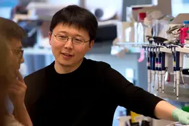 张锋当选美国医学科学院院士，39岁已成四院院士图片