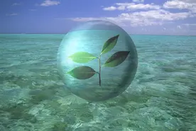 小说：小草开始躲避烟头，植物似乎活了过来图片