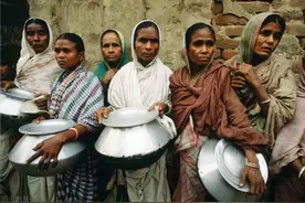 印度人不吃猪肉、更不吃牛、羊肉，把牛当神供奉，到底吃什么肉？图片