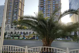 人海茫茫已陌路，浪迹天涯一孤舟图片