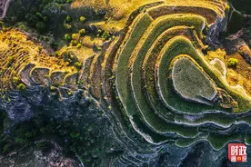 时政画说丨我家住在黄土高坡图片