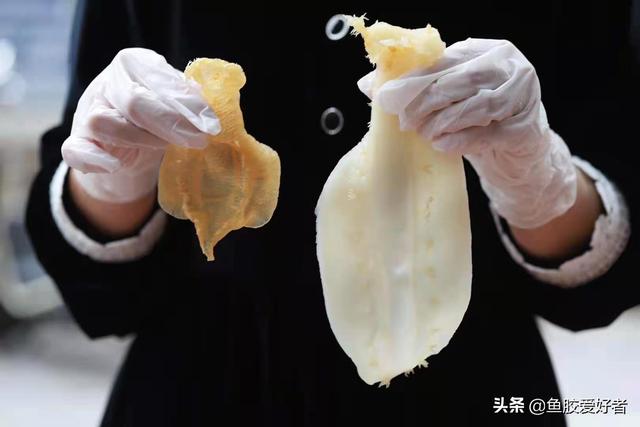 花胶炖烂怎么办 2026年花胶炖烂了怎么办