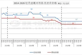 中药材品种分析：牡丹皮为何高光乍现？图片
