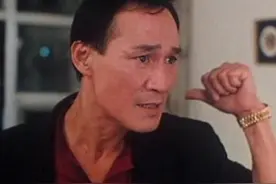 陈惠敏辣评武打影星：李小龙有实力，向华强很能打，甄子丹没水准图片