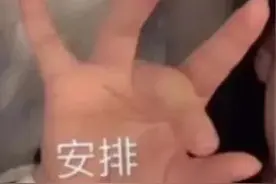 表情包：安排图片