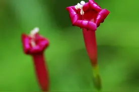 「娶妻先看娘」这四种类型的“丈母娘”，你要赶紧叫声“妈”图片