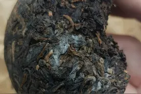 一克熟茶五亿霉菌，喝熟茶等于喝脏水？普洱茶到底还能不能喝？图片