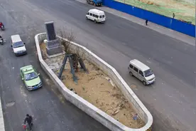 “钉子树”挡住主干道，郑州政府不强拆，立碑围墙保护如今成景观图片
