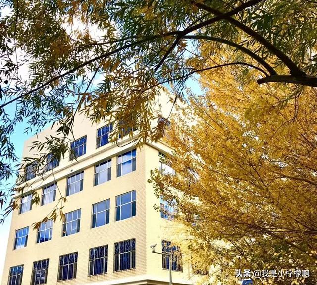 大庆师范学院