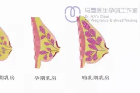 不想让乳房变成大小胸、布袋奶？你要把握这几点图片