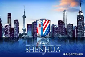 回顾｜上海申花职业化外援全记录1994-2020图片