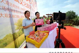 安庆大观：2020年夏季农产品采摘文旅节启动图片
