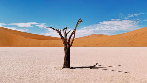 科幻走进现实：这些地球上的“外星居所”超乎想象