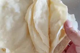 薄透柔软的水烙馍，做成青嫩茄丝卷，爽口流汁，吃了3个不嫌饱图片