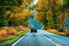 汇顶科技（603160）-指纹识别芯片全球第一图片