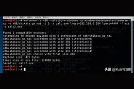 网络安全工程师：小白如何使用Kali Linux生成木马后门并实现免沙图片