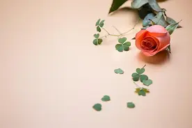 夫妻之间一旦出现这三种情况，说明缘分已尽，彼此就像陌生人图片