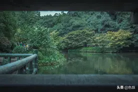 九溪十八涧行记-杭州市内野趣十足的避暑胜地，但千万不要假期来图片