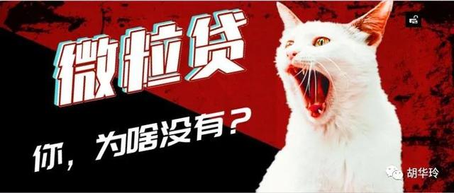 为什么我手机没有微粒贷（为啥你没有微粒贷）