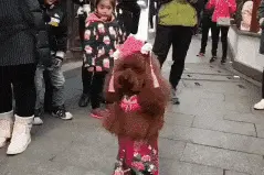 搞笑GIF：兄弟，不用担心，友谊的小船是不会翻的图片