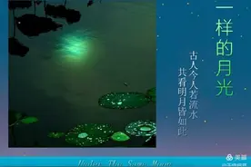 一样的月光图片