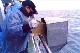 生态葬接受度提升 青岛实施海葬30年已有两万多位逝者进行海葬图片