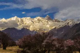 你再不来，我要开花了图片