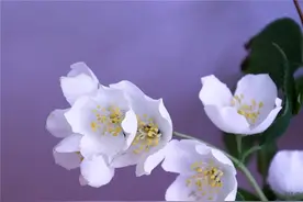 感情只是人生路上的一部分，并不是你的全部图片