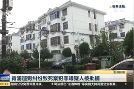 遛狗不栓狗绳起冲突，狗主人拳打脚踹老人致其死亡，嫌疑人被批捕视频封面