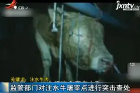 「关键词：注水牛肉」安徽：屠宰场12小时给活牛注水120斤 黄牛流泪跪倒视频封面