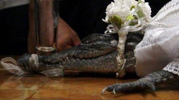 世界上最奇葩的8对夫妻,印度的最尴尬,日本最诡异