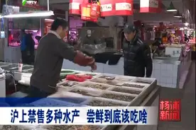 买不到毛蚶了！沪上禁售多种水产，尝鲜到底该吃啥视频封面