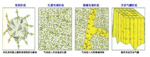 页岩是指什么岩（怎样了解页岩的含气量解析法是测定法宝）