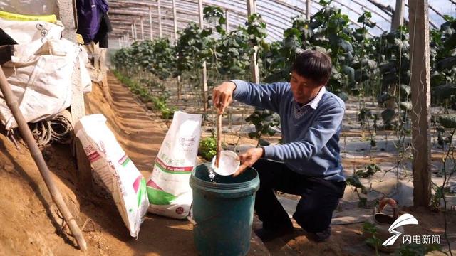 每周质量报告∣山东1批次水溶肥料不合格 泉林嘉有上黑榜