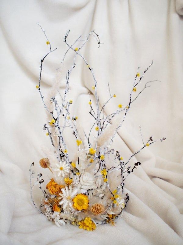 �������á�������������������3.8Ů���ڵ��������