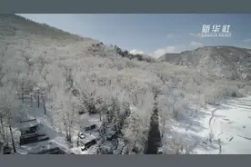 五台四月迎飞雪视频封面
