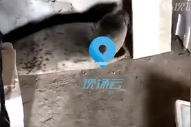 早知天下事视频封面