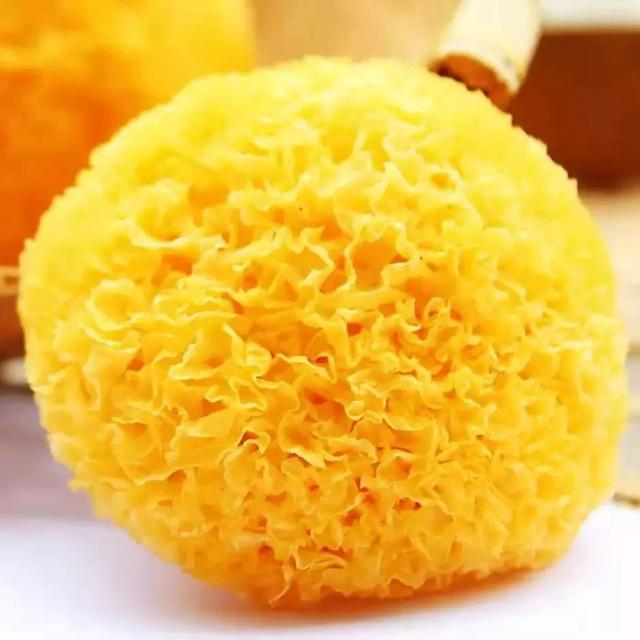 老椰炖花胶 椰汁炖花胶