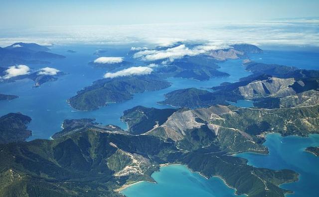 花胶哪里有买 花胶哪里买比较正宗