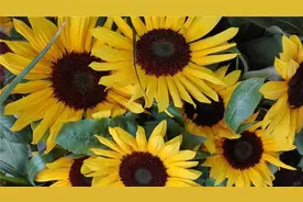 24条人生感悟的说说短句子，句句正能量，适合发朋友圈图片