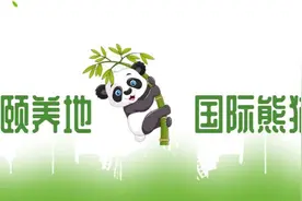 存好这些联系方式，雨城家长朋友们必看！图片
