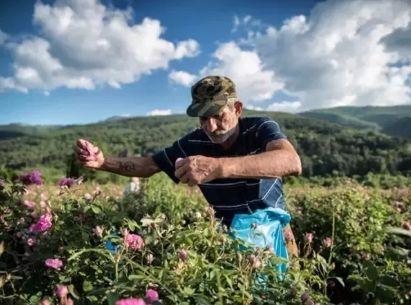 经常长痘能吃花胶吗 2026年长痘的人可以吃花胶吗
