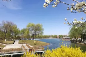 河北正定园博园3月20日恢复开园 附赏花攻略图片