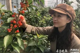 初恋的味道！主播开吃烟台海阳小樱桃，6万余人在线围观图片