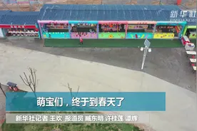 萌宝们，终于到春天了视频封面